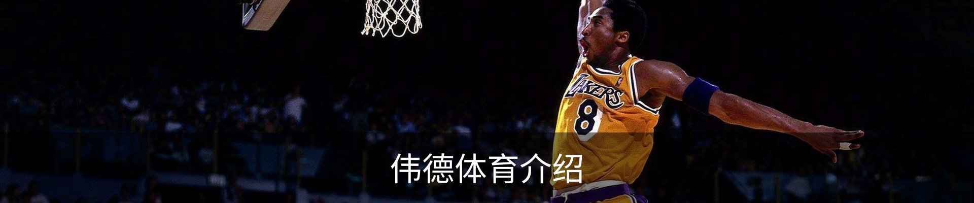 伟德体育介绍